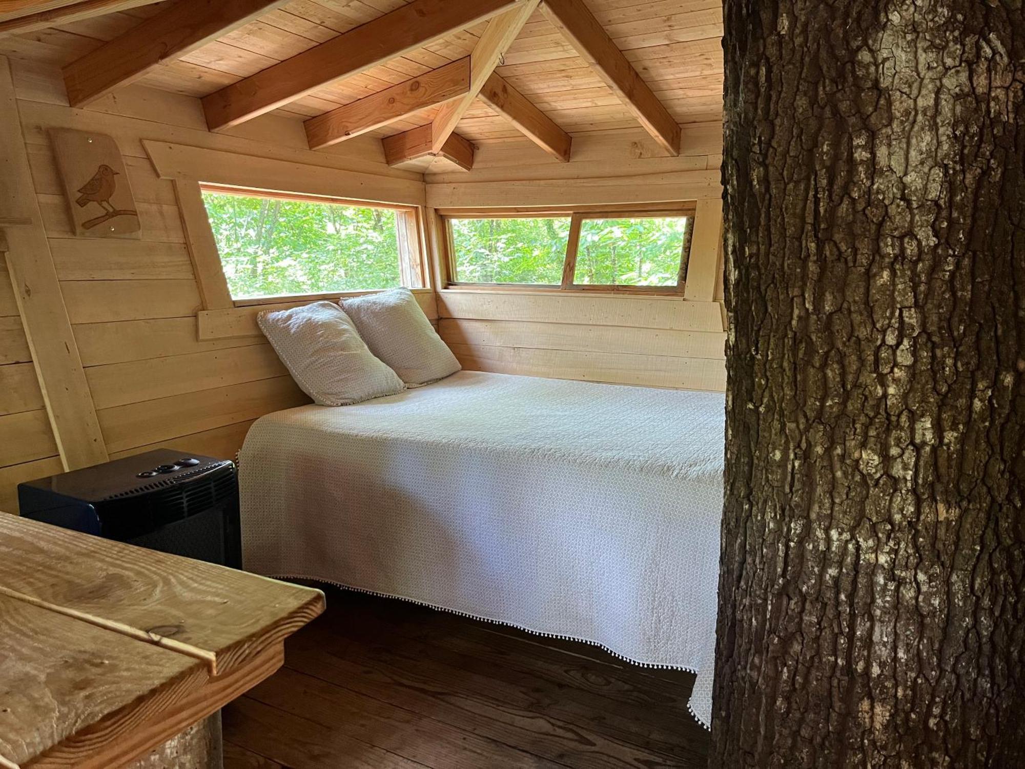 Les Ecolodges De L'Orbiere Forcé Exterior foto