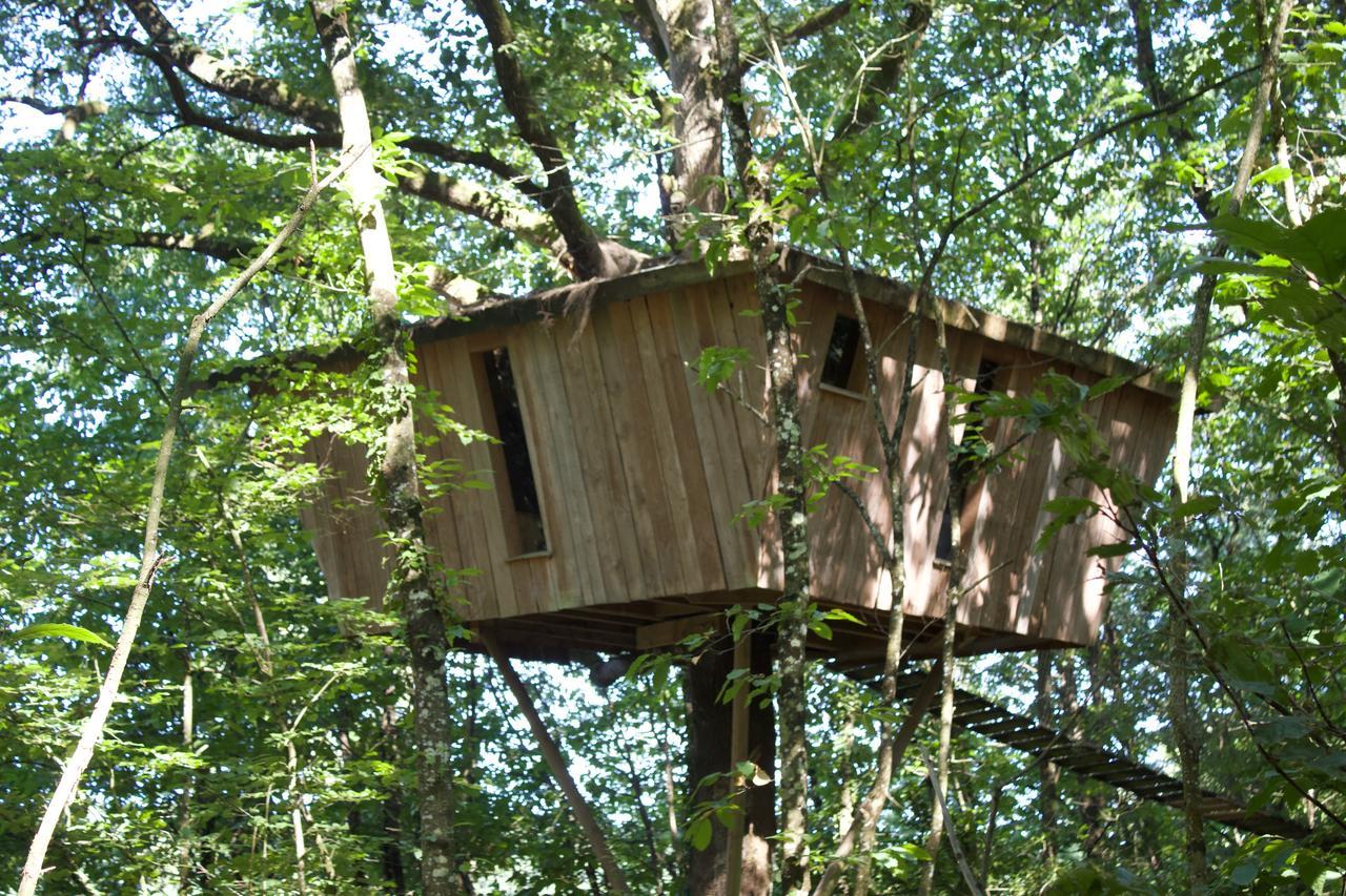 Les Ecolodges De L'Orbiere Forcé Exterior foto